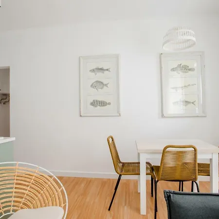 Apartment Sta Catarina -